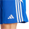 adidas Tiro 24 Trainingsshorts Herren IR9378 - team royal blue/white 3XL