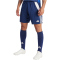 adidas Tiro 24 Trainingsshorts Herren IR9377 - team navy blue 2/white 3XL