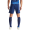 adidas Tiro 24 Trainingsshorts Herren IR9377 - team navy blue 2/white 3XL