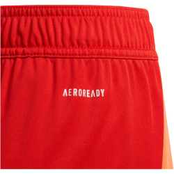 adidas Tiro24 Trainingsshorts Kinder 013A - red/royblu 128