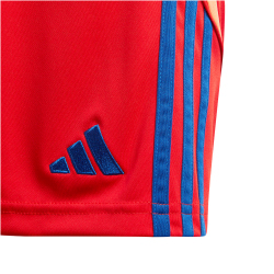 adidas Tiro24 Trainingsshorts Kinder 013A - red/royblu 128