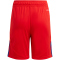 adidas Tiro24 Trainingsshorts Kinder 013A - red/royblu 128