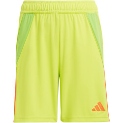 adidas Tiro24 Trainingsshorts Kinder A7CS - sesoye/seimor...