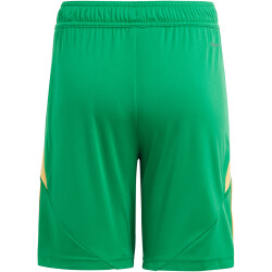 adidas Tiro24 Trainingsshorts Kinder ADCZ - teagrn/semspa...