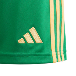 adidas Tiro24 Trainingsshorts Kinder ADCZ - teagrn/semspa 176