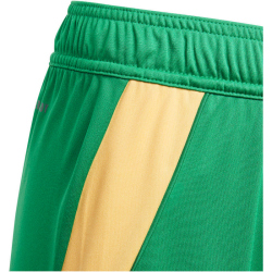 adidas Tiro24 Trainingsshorts Kinder ADCZ - teagrn/semspa 176