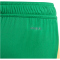 adidas Tiro24 Trainingsshorts Kinder ADCZ - teagrn/semspa 176