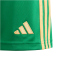 adidas Tiro24 Trainingsshorts Kinder ADCZ - teagrn/semspa 176