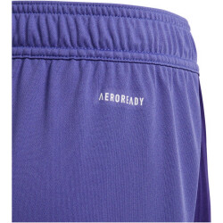 adidas Tiro24 Trainingsshorts Kinder A0TG - purple/teassg 116