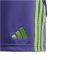 adidas Tiro24 Trainingsshorts Kinder A0TG - purple/teassg 176