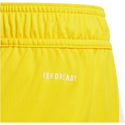 adidas Tiro 24 Trainingsshorts Kinder IT2410 - team...