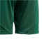 adidas Tiro 24 Trainingsshorts Kinder IT2409 - team dark green/white 116
