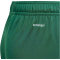 adidas Tiro 24 Trainingsshorts Kinder IT2409 - team dark green/white 116