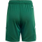 adidas Tiro 24 Trainingsshorts Kinder IT2409 - team dark green/white 116