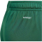 adidas Tiro 24 Trainingsshorts Kinder IT2409 - team dark green/white 128
