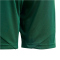 adidas Tiro 24 Trainingsshorts Kinder IT2409 - team dark green/white 176