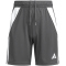 adidas Tiro 24 Trainingsshorts Kinder IT2408 - team mid grey/white 116