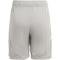 adidas Tiro 24 Trainingsshorts Kinder IT2408 - team mid grey/white 128