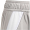 adidas Tiro 24 Trainingsshorts Kinder IT2408 - team mid grey/white 140