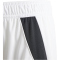 adidas Tiro 24 Trainingsshorts Kinder IR9370 - white/black 116