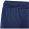 adidas Tiro 24 Trainingsshorts Kinder IR9369 - team navy blue 2/white 116