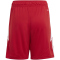 adidas Tiro 24 Trainingsshorts Kinder IR9367 - team power red 2/white 116