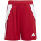 adidas Tiro24 Trainingsshorts Kinder AEPU - tepore/white 116