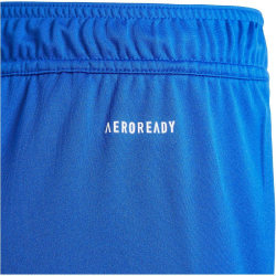 adidas Tiro 24 Trainingsshorts Kinder IR9366 - team royal...