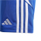 adidas Tiro 24 Trainingsshorts Kinder IR9366 - team royal blue/white 116
