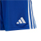 adidas Tiro 24 Trainingsshorts Kinder IR9366 - team royal blue/white 140