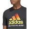 adidas DFB Deutschland DNA Graphic T-Shirt Herren 095A - black XXL