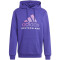 adidas DFB Deutschland DNA Hoodie Herren 43F0 - cpurpl M