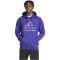 adidas DFB Deutschland DNA Hoodie Herren 43F0 - cpurpl M