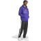 adidas DFB Deutschland DNA Hoodie Herren 43F0 - cpurpl M
