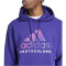 adidas DFB Deutschland DNA Hoodie Herren 43F0 - cpurpl M
