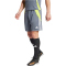 adidas Tiro 24 Trainingsshorts Herren IV6940 - team onix/semi solar yellow XS