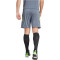 adidas Tiro24 Trainingsshorts Herren ADFY - tmonix/sesoye S