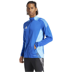 adidas Tiro24 Competition Trainingsjacke Herren AD8R - royblu XS