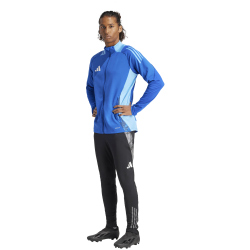 adidas Tiro24 Competition Trainingsjacke Herren AD8R - royblu XS