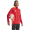 adidas Tiro24 Competition Trainingsjacke Herren AEPU - tepore XS