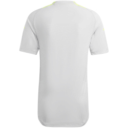 adidas Tiro24 Pro Fu&szlig;ball Trainingstrikot Herren ADFE - tmlggr/tesoye S