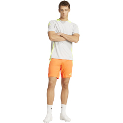 adidas Tiro24 Pro Fu&szlig;ball Trainingstrikot Herren ADFE - tmlggr/tesoye S