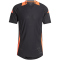 adidas Tiro24 Pro Fu&szlig;ball Trainingstrikot Herren 095A - black/apsord S