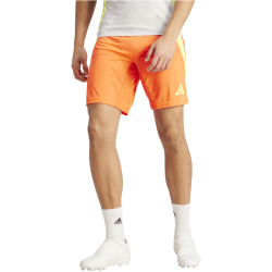 adidas Tiro24 Pro Trainingshorts Herren ADKU - apsord/tesoye S