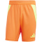 adidas Tiro24 Pro Trainingshorts Herren ADKU - apsord/tesoye S