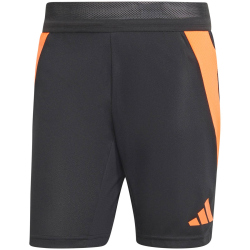 adidas Tiro24 Pro Trainingshorts Herren 095A - black/apsord S