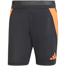 adidas Tiro24 Pro Trainingshorts Herren 095A - black/apsord S
