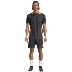 adidas Tiro24 Pro Trainingshorts Herren 095A - black/apsord S