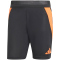 adidas Tiro24 Pro Trainingshorts Herren 095A - black/apsord S