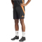 adidas Tiro24 Pro Trainingshorts Herren 095A - black/apsord S